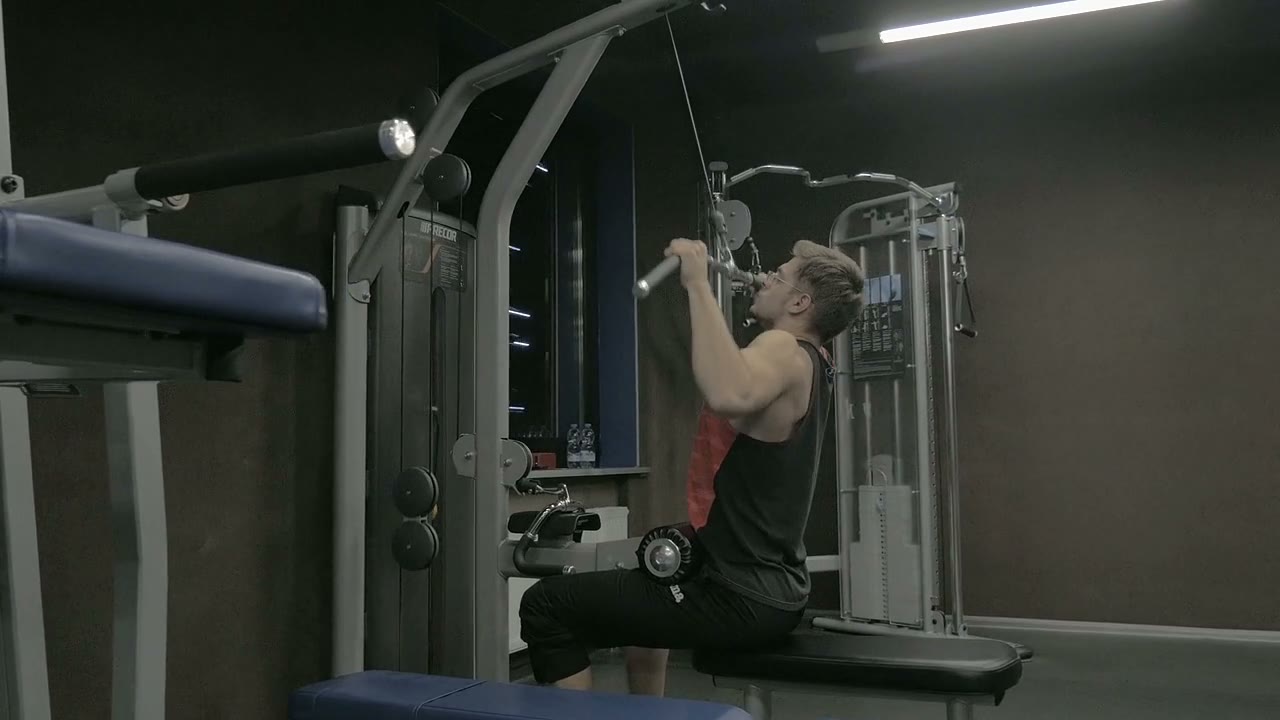 Back & Rear Delts
